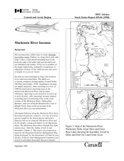 Mackenzie river inconnu
