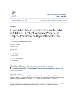 Comparative Transcriptomics of Elasmobranchs and