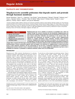 Megakaryocytes assemble podosomes that degrade matrix and