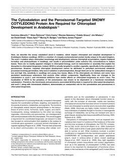 The Cytoskeleton and the Peroxisomal-Targeted