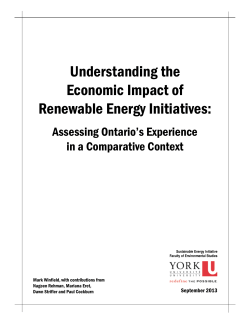 Understanding the Economic Impact of Renewable Energy Initiatives: