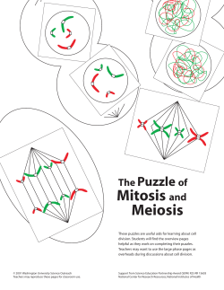 The Puzzle of Mitosis and Meiosis - Institute for School Partnership