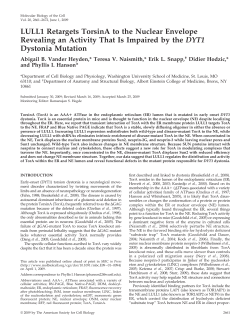 LULL1 Retargets TorsinA to the Nuclear Envelope Revealing an