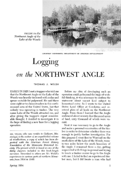 Logging on the Northwest Angle.