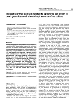 Intracellular free calcium related to apoptotic cell death in