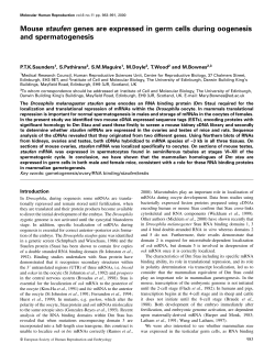 Mouse staufen genes are expressed in germ cells during oogenesis