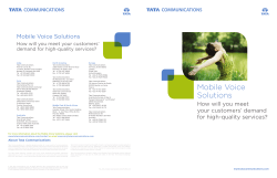 Mobile Voice Solutions