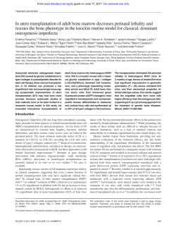 In utero transplantation of adult bone marrow