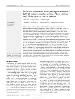 Molecular evolution of Vibrio pathogenicity island-2 (VPI