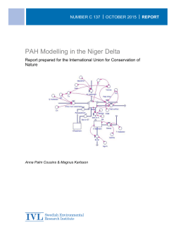 PAH Modelling in the Niger Delta