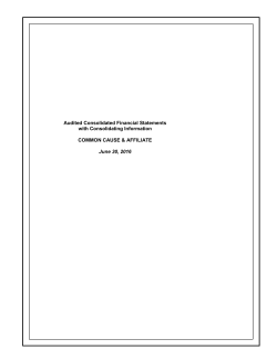 Fiscial Year 2016 Financial Statement