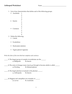 Arthropod Worksheet