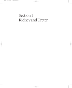 Section 1 Kidney and Ureter