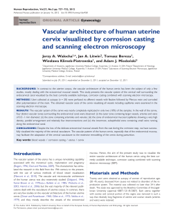 Vascular architecture of human uterine cervix