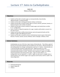 Lecture 17: Intro to Carbohydrates