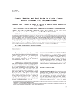 Growth, Shedding and Food Intake in Captive Eunectes