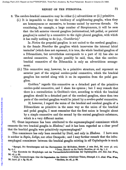 REPORT ON THE PTEROPODA. 71 2. The cerebro