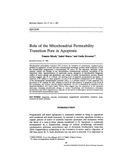 Role of the Mitochondrial Permeability Transition Pore in Apoptosis