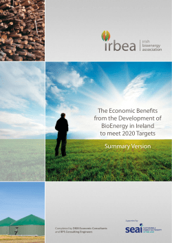 summary socio economic report