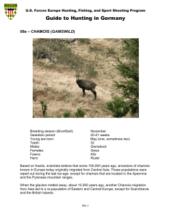 Guide to Hunting in Germany