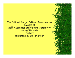 The Cultural Plunge: Cultural Immersion as a Means of Self