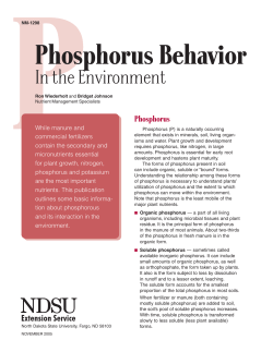 Phosphorus Behavior