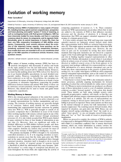 Evolution of working memory