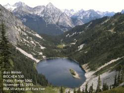 Crick`s Central Dogma?