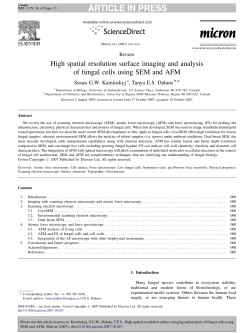 High spatial resolution surface imaging and analysis of fungal cells