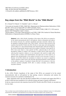 Key steps from the &ldquo;RNA World&rdquo; to the &ldquo;DNA World&rdquo;