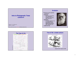 Intro to phylogenetic trees reconstruction.