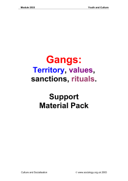 Gangs - Sociology Central