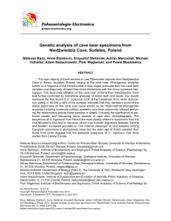 Genetic analysis of cave bear specimens from Niedźwiedzia Cave