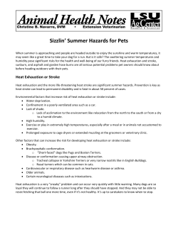 Sizzlin` Summer Hazards for Pets