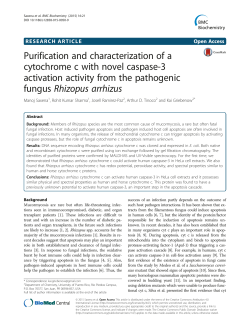 Purification and characterization of a cytochrome c with novel