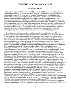 Page031-034_Organellar DNA Isolation