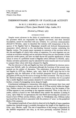 THERMODYNAMIC ASPECTS OF FLAGELLAR ACTIVITY