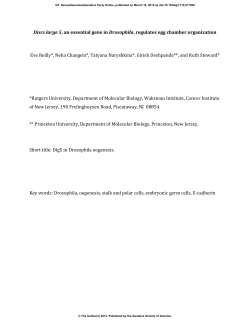 Discs large 5, an essential gene in Drosophila, regulates egg