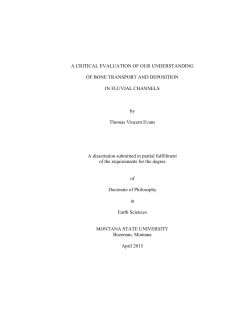 EvansT0515 - ScholarWorks