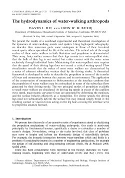 The hydrodynamics of water-walking arthropods