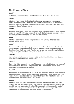 The Moggery Diary