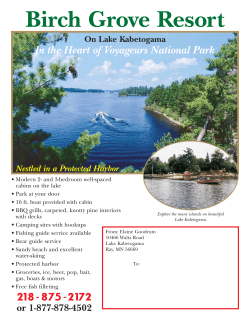 lake kabetogama - Birch Grove Resort