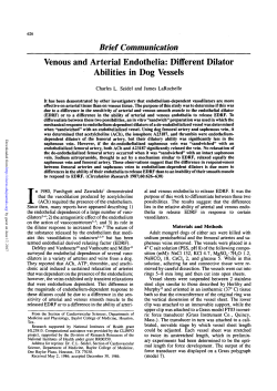 Brief Communication Venous and Arterial Endothelia: Different