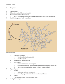 Fungus - rci.rutgers.edu