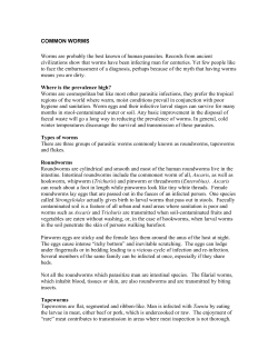 COMMON WORMS Worms are probably the best known of human