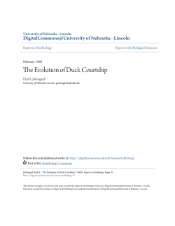 The Evolution of Duck Courtship - DigitalCommons@University of