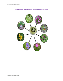 12. Medicinal Herbs - Amazing Healing Properties