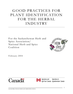 plant identification - Herb, Spice and Specialty Agriculture Association