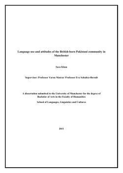 Language use and attitudes of the British