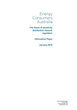 The future of electricity distribution network regulation Information